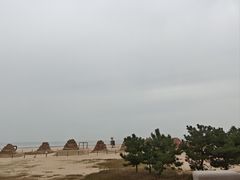 -日照海滨国家森林公园