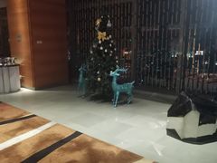 -深圳皇庭V酒店