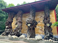 -江湾神木园