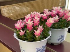 -双东酒店(东关街店)