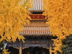 -大慈恩寺(大雁塔)
