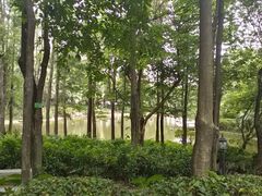 -黄埔荔枝公园
