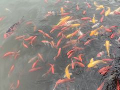 -狼山风景名胜区