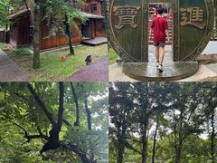 -洛阳白云山景区