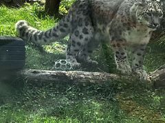 -青藏高原野生动物园