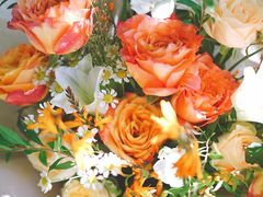 -花生FM_FLOWERS