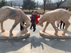 -石家庄市动物园