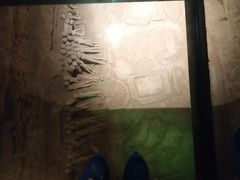 -汉景帝阳陵博物院