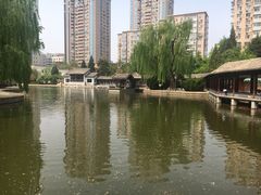 -团结湖公园