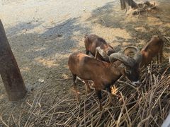 -无锡动物园·太湖欢乐园