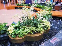 -樟宜机场免税店