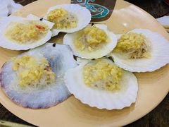 烤大元贝-贞姨美食·老字号海鲜大排档