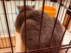 -iF摄影•全家福•证件照•形象照(南山店)