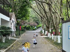 -重庆彩云湖湿地公园