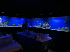 -避尘 Bsense·SPA(新会展总店)