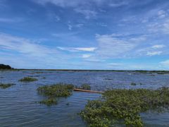 -北海金海湾红树林生态旅游区