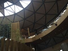 -上海滴水湖皇冠假日酒店