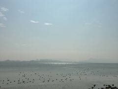-深圳湾公园(南山区)