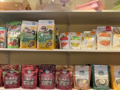 -龙猫仔乐园(惠福东路店)