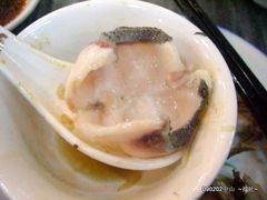 CIMG0958-鸽鸟轩(石岐店)