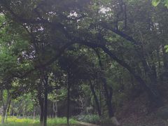 -攀枝花公园