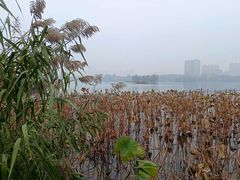 -济南大明湖景区