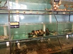 水产区-三姐妹·海鲜大排档