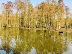 -池杉湖湿地公园