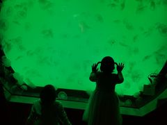 -沈阳海洋探索中心