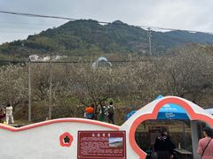 -广州市流溪河国家森林公园