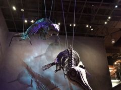 -贝林大翅鲸简餐厅(国家海洋博物馆店)