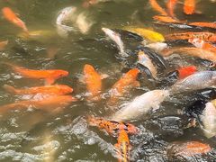 -珠海圆明新园