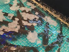-山河屯铁锅炖鲜鹅·东北菜(开发区一店)
