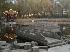 -文瀛公园