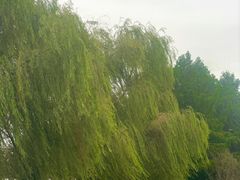 -澹台湖公园