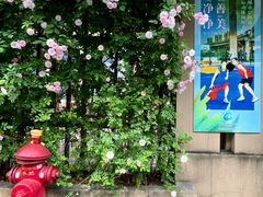 -无锡师范学校附属小学(学前街校区)