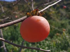 -青州市云门山风景区