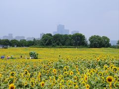 -苏州湾体育公园