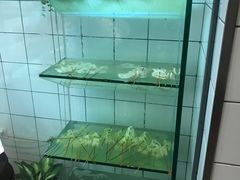 -百味源炭火烤翅 ·夜市大排档(酒仙桥店)