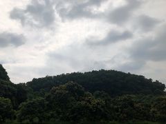 -东莞植物园