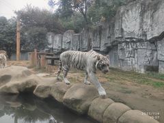 -常州淹城野生动物世界