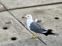 -星海广场