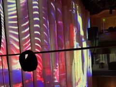 -斯卡拉演艺集团