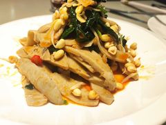 豆芽面筋-蝎王府羊蝎子(西稍门店)