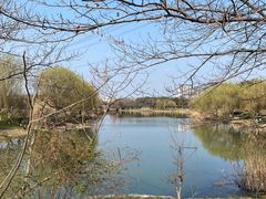 -九里河湿地公园