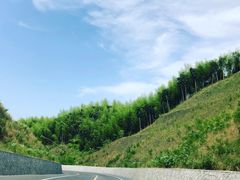 -将军关探险漂流