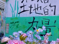 -黄桷坪涂鸦艺术街