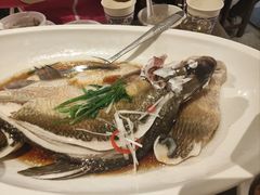 -大中华酒楼·主席武昌鱼·武汉美食地标(江汉路步行街店)