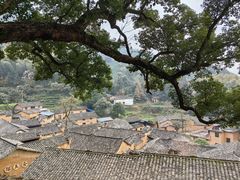 -杨家堂村