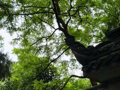 -成都老君山